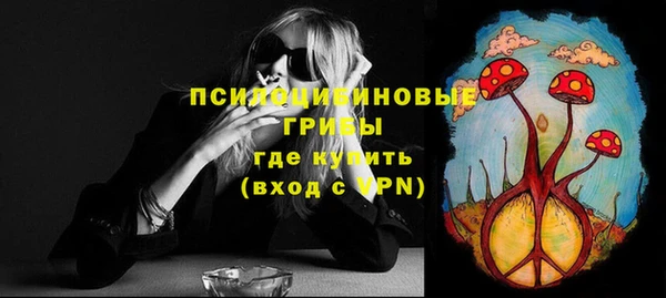 спиды Володарск